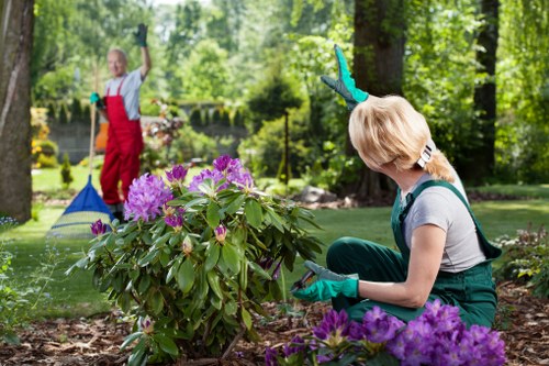 Beautiful Kensington garden with well-maintained plants and greenery