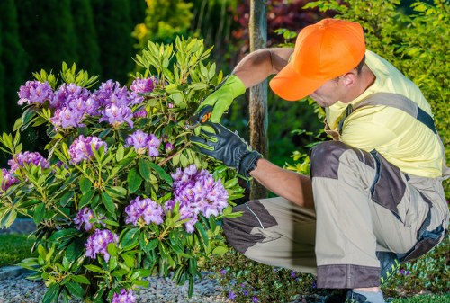 Modern landscape garden design incorporating native plants and sustainable elements