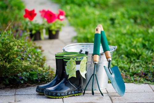 Healthy green lawn maintained by professionals