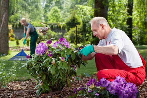 Seasonal hedge trimming by experts enhancing garden health in Kensington