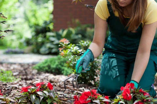 Eco-friendly lawn care practices in Kensington home garden