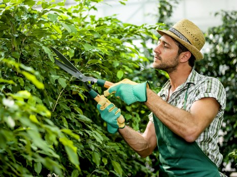 Worker wearing PPE and using a strimmer in a residential garden
