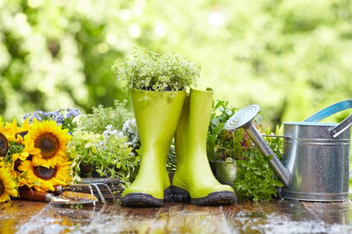 Lush green lawn maintained by landscaping professionals in Kensington