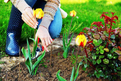 Expert landscapers trimming a garden bed