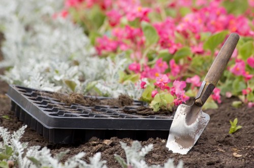 Advanced lawn care services in Kensington