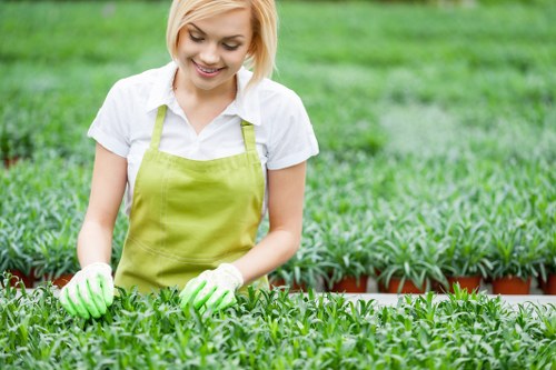 Professional garden maintenance service team in Kensington