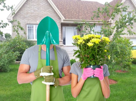 Seasonal gardening tips being applied in a Kensington outdoor space