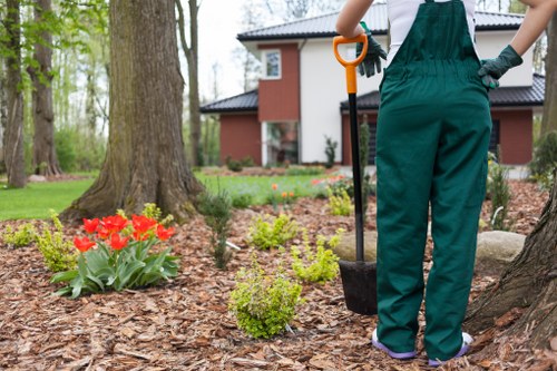 Garden waste separated into piles for recycling and composting