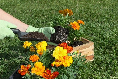 Spring garden maintenance activities in Kensington
