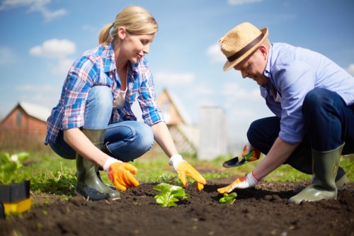 Choosing a reliable garden clearance service in Kensington